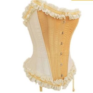 HIIPS gold yellow waist training overbust corset
